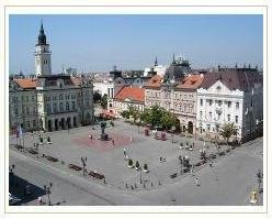 Slider image (6) STOMATOLO